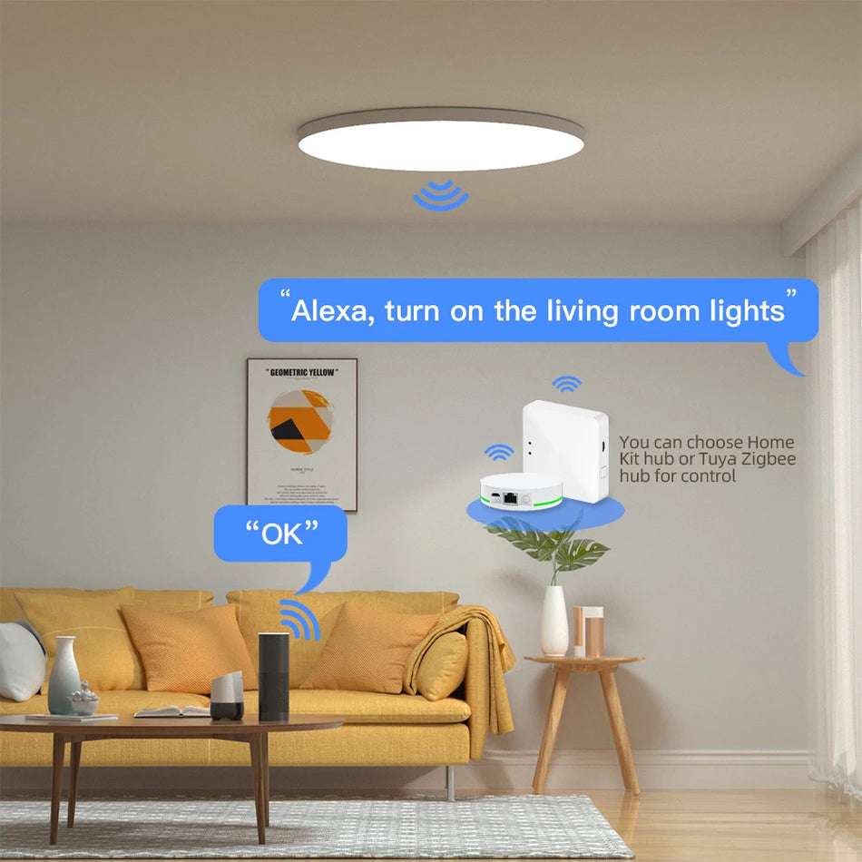 Zemismart Zigbee Smart Ceiling Lamp TUYA LED Light 24W RGBCW Dimmable Mounting Lamp Alexa Google Home Control Indoor Decoration