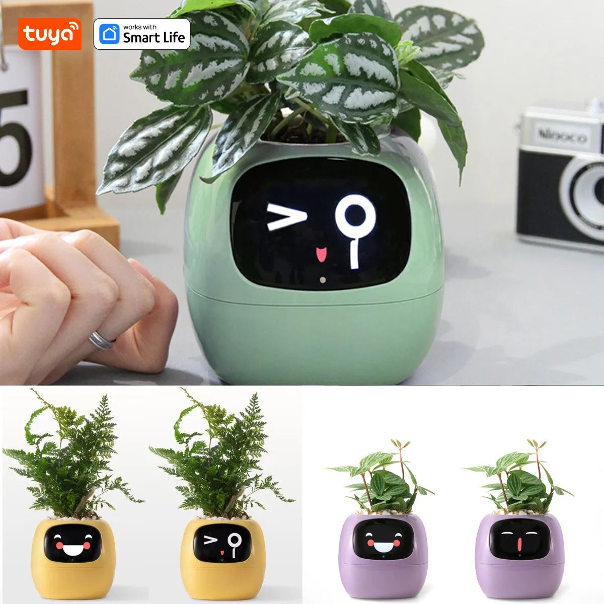 ai plant pot Tuya Ivy Smart Planter with AI Sensors and 49 Expressions – InterCyprus Trading Ltd