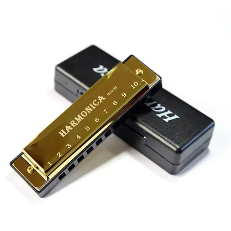 10 Hole Harmonica Key C - Fun for Beginners!  Gold / CHINA