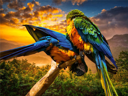 100 Pieces Jigsaw Puzzle Assembling Picture Dog Animals Decompression Puzzles Toy for Adult Children Kids Educational Gifts 111 parrot