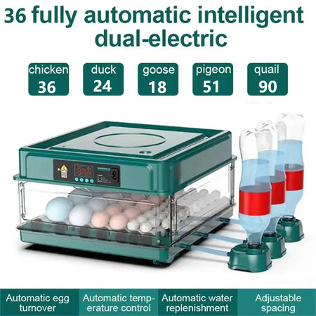Drawer Type 9 Egg Incubator With Auto Temperature Control 36 Egg / spain
