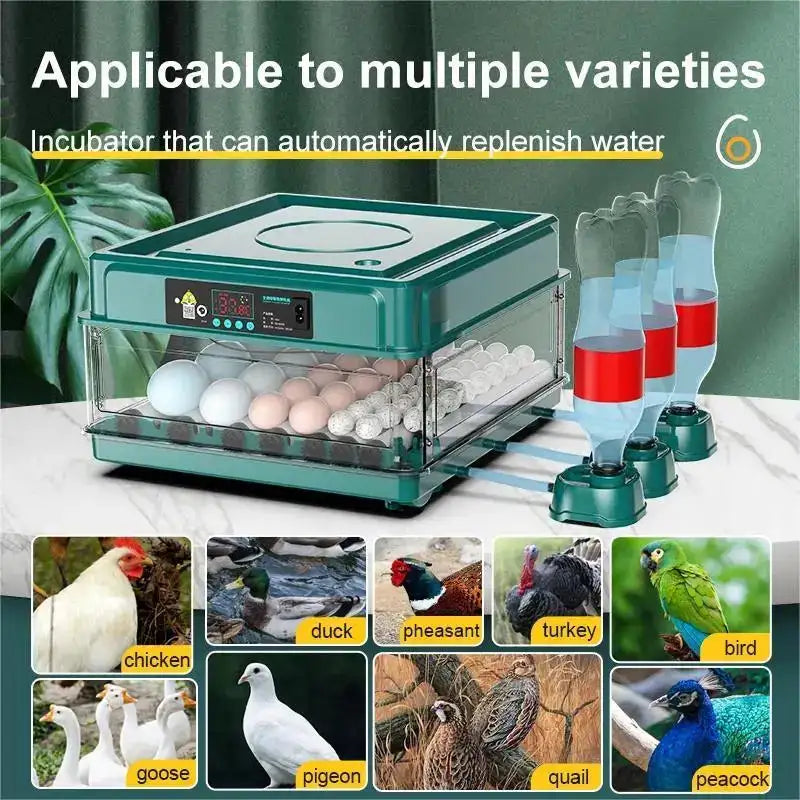 Drawer Type 9 Egg Incubator With Auto Temperature Control