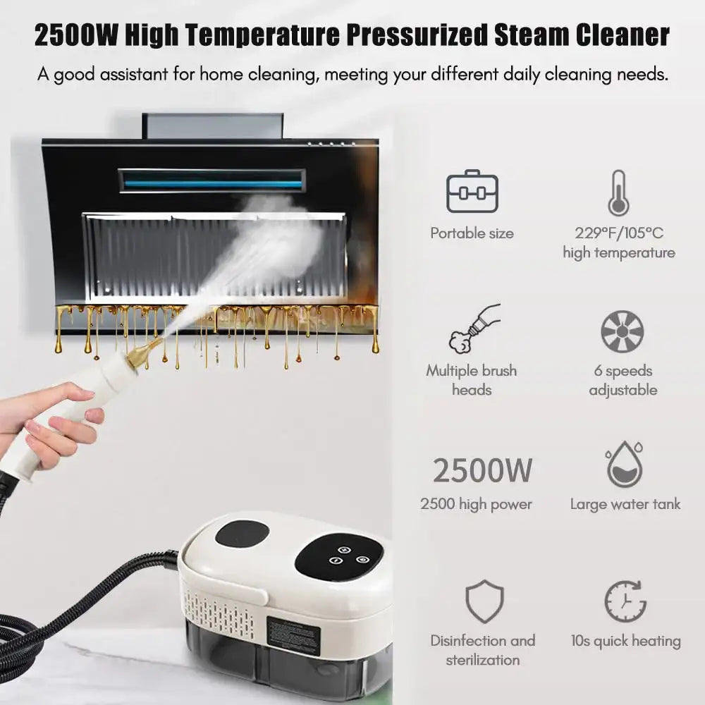 2500W High Pressure Steam Cleaner 105C 3 Bar 220V 110V