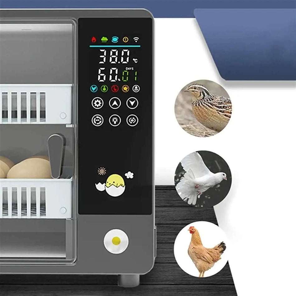 Incubadora de Huevos Tipo Cajón para 24 Huevos – Giro Automático de Huevos