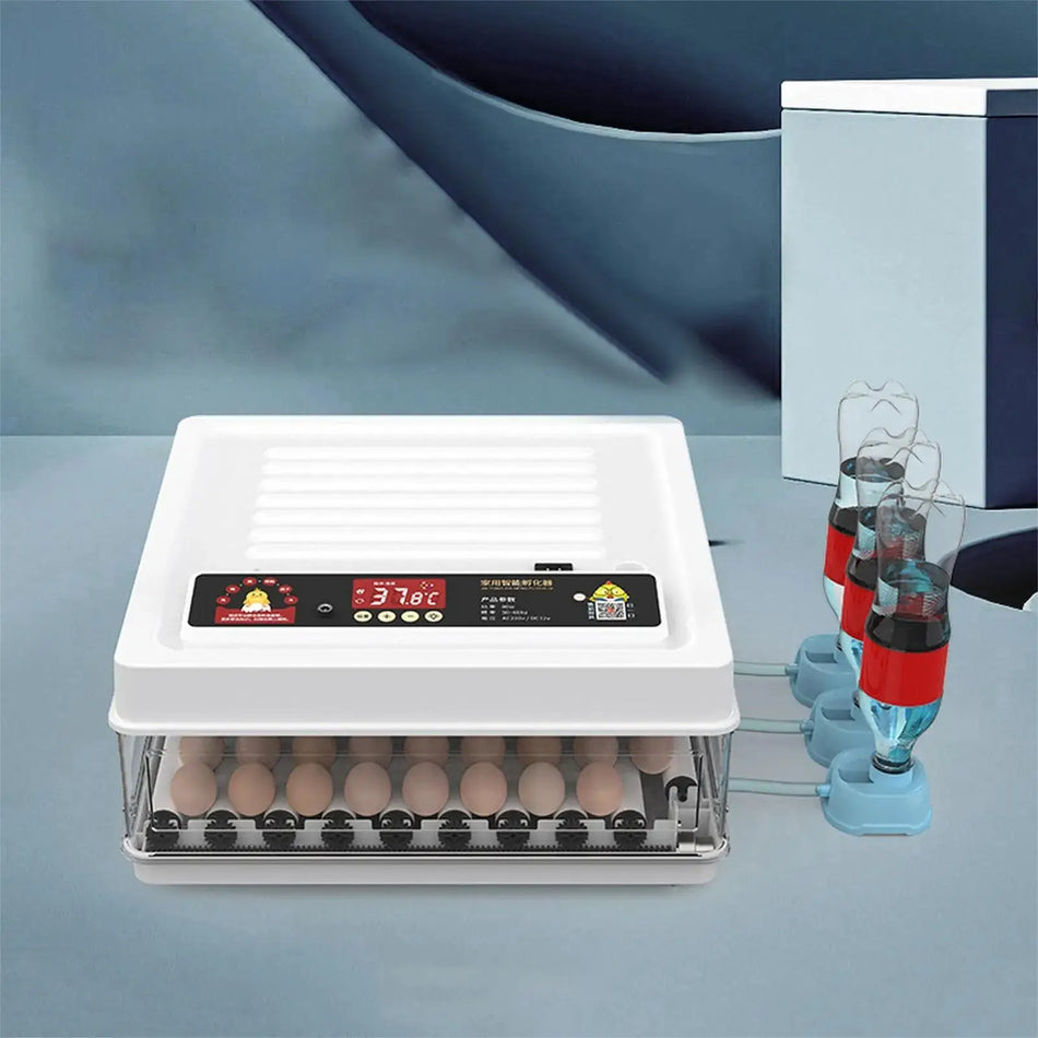 24/36 Munien Inkubaattori – Automaattinen 220V Maatalous Haudontalaite Pro