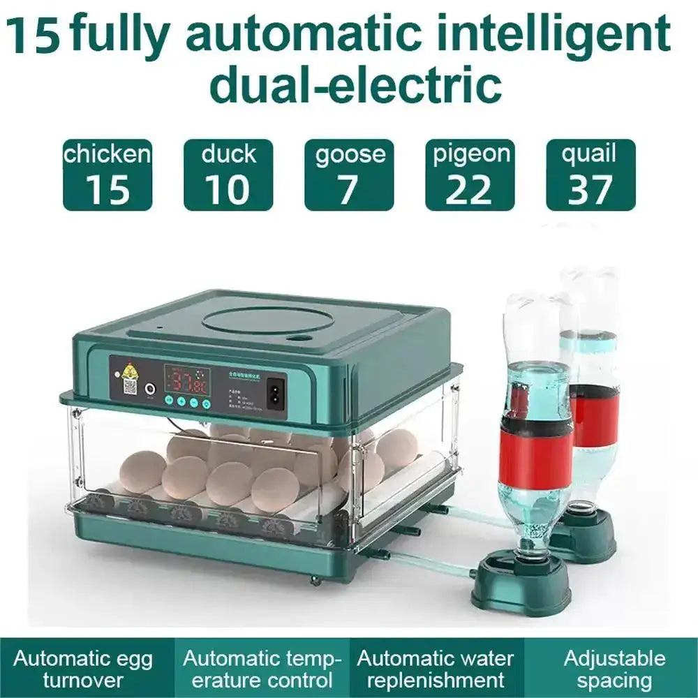 Drawer Type 9 Egg Incubator With Auto Temperature Control 15 Egg / spain
