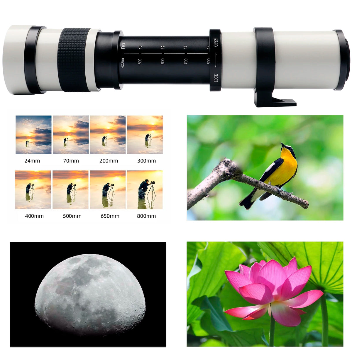 Lightdow Super Telephoto Lens 420-800mm &ndash; Exceptional Zoom Range for Stunning Photography