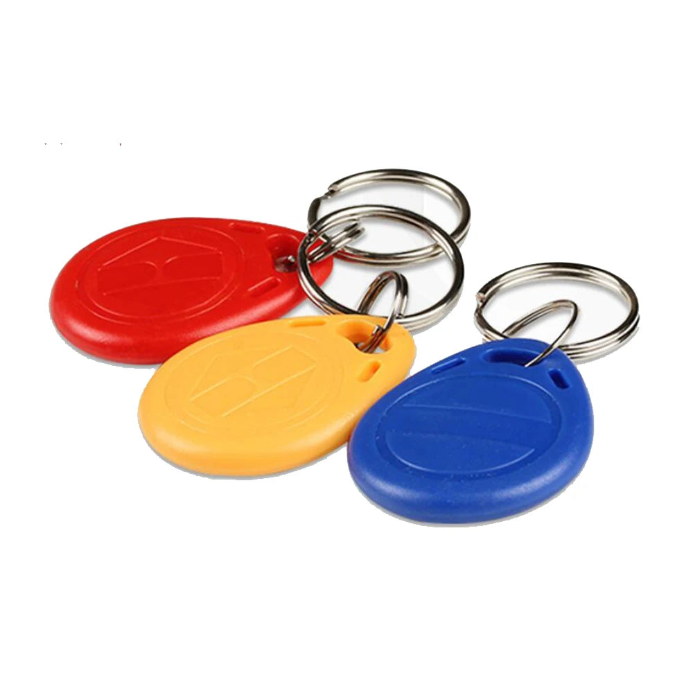 LUCKING DOOR EM4100 TK4100 RFID Keychain Tokens &ndash; Read-Only