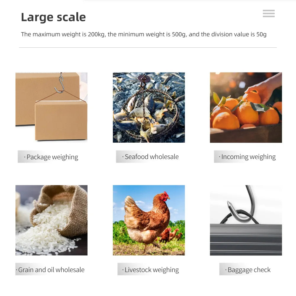 200kg Digital Crane Hook Scale &ndash; Large LCD Display