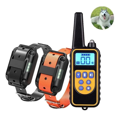 Electric Pet Dog Training Collar &ndash; Remote Control Waterproof for 2 dogs 1 / US Plug