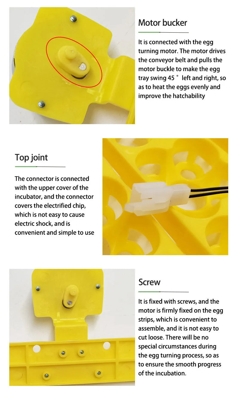 36 Quail Eggs Tray Incubator Turner &ndash; Automatic Egg Turner
