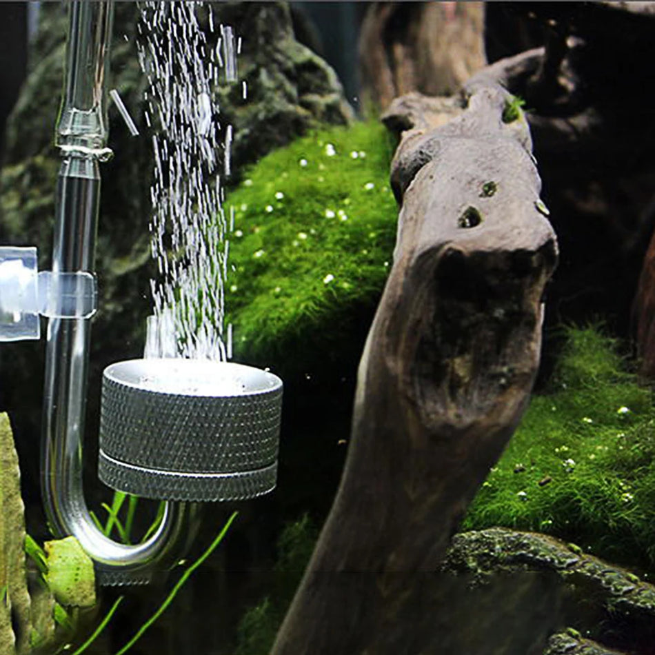 CO2 Difuzorius Atomizatorius su Siurbtuku Akvariumo Augalų Augimui