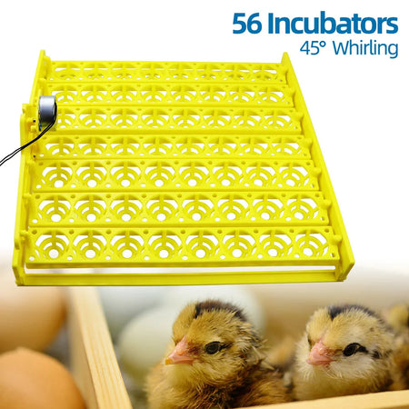 220V Automatic Egg Incubator 56 To 154 &ndash; Auto Turn Motor