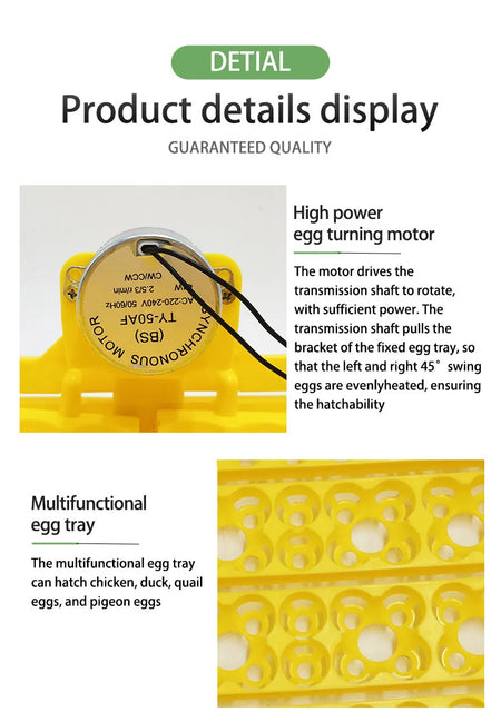 24 Eggs Tray Incubator Turner &ndash; Automatic Egg Turning