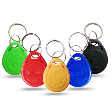 LUCKING DOOR EM4100 TK4100 RFID Keychain Tokens &ndash; Read-Only