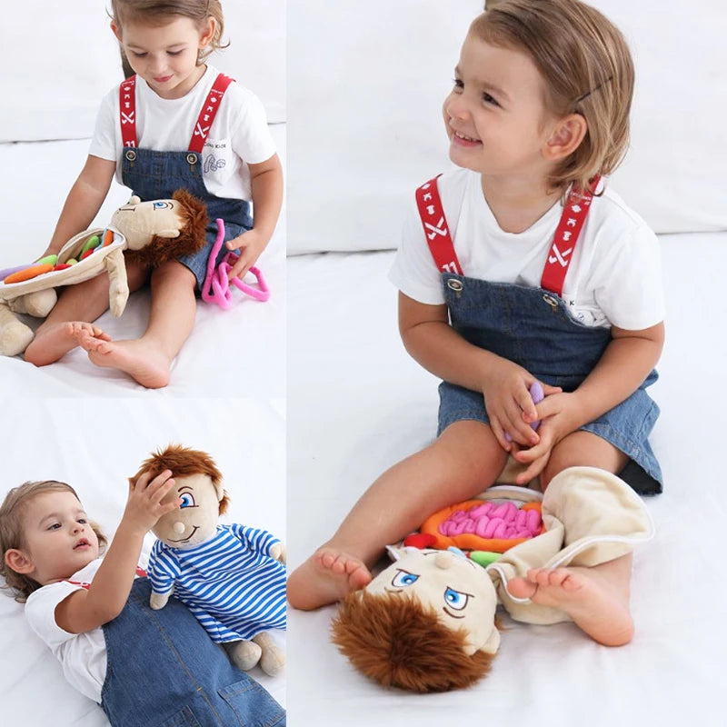 Kid 3D Body Puzzle Plush Toy &ndash; Hands On Anatomy Learning