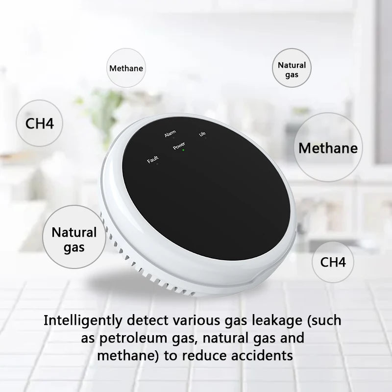 ZUIDID GS20 433MHz Gas Leak Detector &ndash; 80dB Alarm System