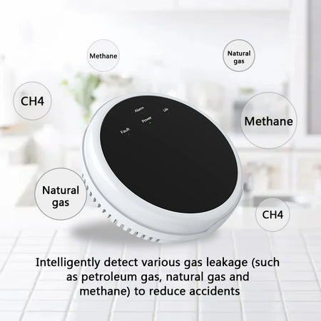 ZUIDID GS20 433MHz Gas Leak Detector &ndash; 80dB Alarm System