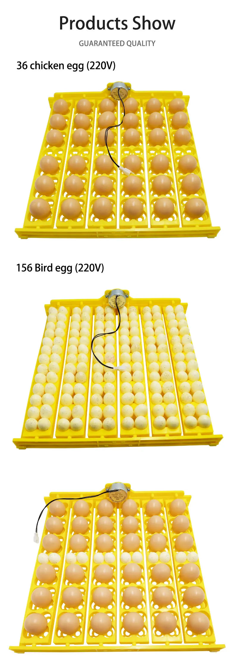 24 Eggs Tray Incubator Turner &ndash; Automatic Egg Turning