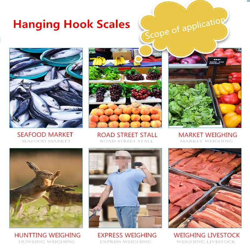 JUANJUAN S035B Crane Scale Ultra Precise 0.01g Accuracy