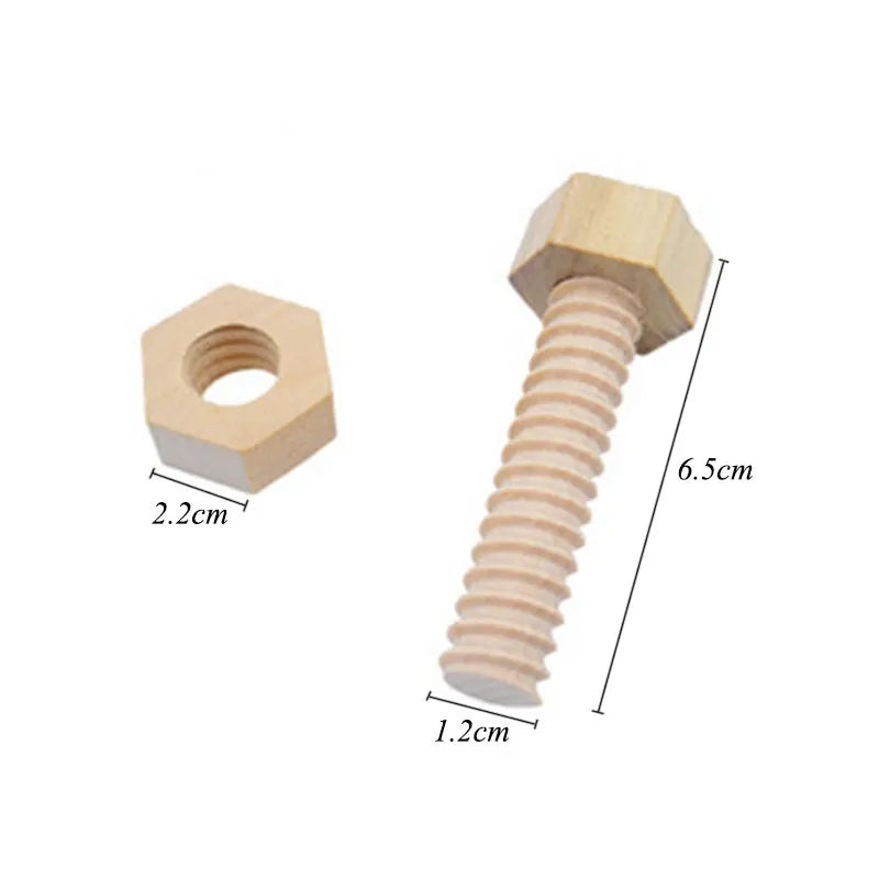 Wooden Screw Nut Assembly Toy &ndash; Fine Motor Skill Training