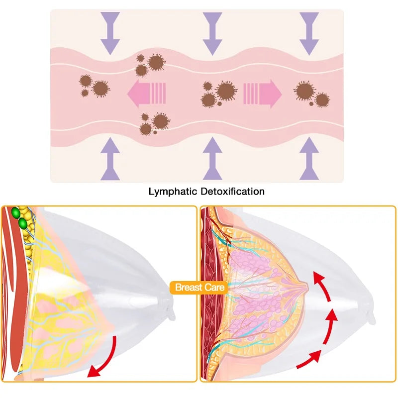 2Pcs Buttock Vacuum Sucker Cups 21Cm 180Ml &ndash; Large Capacity