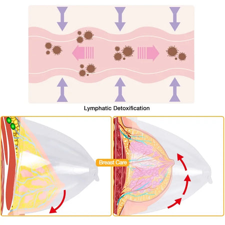 2Pcs Buttock Vacuum Sucker Cups 21Cm 180Ml &ndash; Large Capacity
