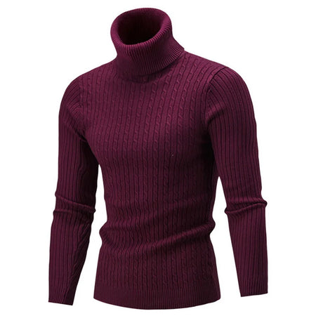 Winter Men's High Quality Turtleneck Sweater Thicken Sweater Casual Pullover G04-Wine / L (70-80KG)