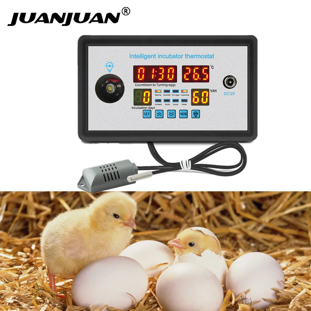 ZFX-W9002 - Real-Time Hatch Record With Sensor And LED