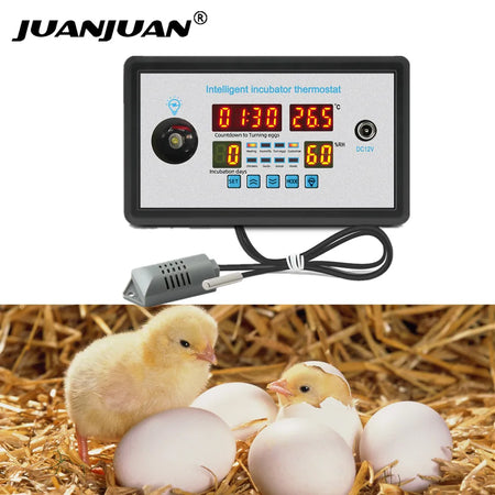 ZFX-W9002 - Real-Time Hatch Record With Sensor And LED