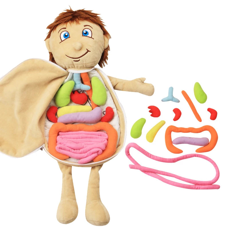 Kid 3D Body Puzzle Plush Toy &ndash; Hands On Anatomy Learning Default Title
