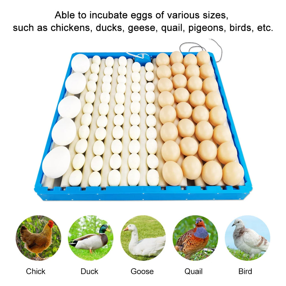 Automatic 360 Rotary Egg Turner Tray 70-108 Eggs &ndash; Auto Turn EU Plug