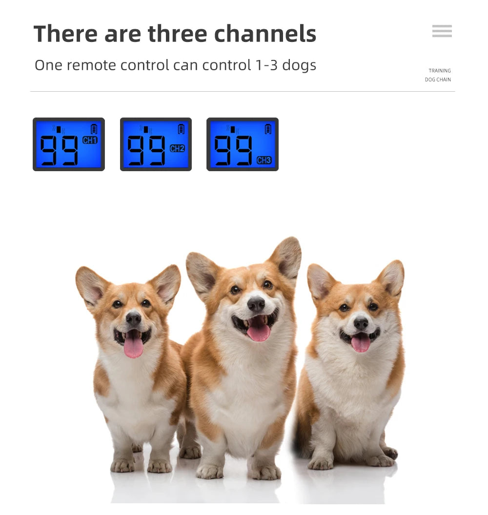 T-600 Electric Dog Training Collar &ndash; Long Range 800m