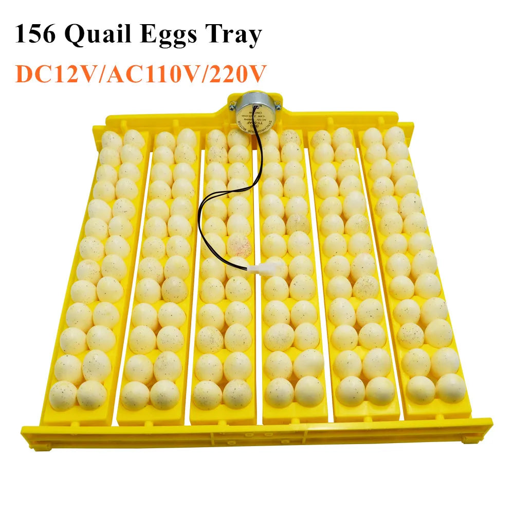 36 Quail Eggs Tray Incubator Turner &ndash; Automatic Egg Turner
