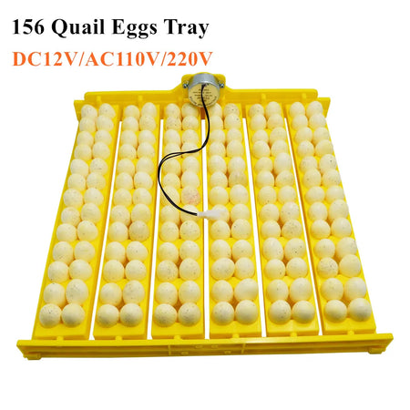 36 Quail Eggs Tray Incubator Turner &ndash; Automatic Egg Turner