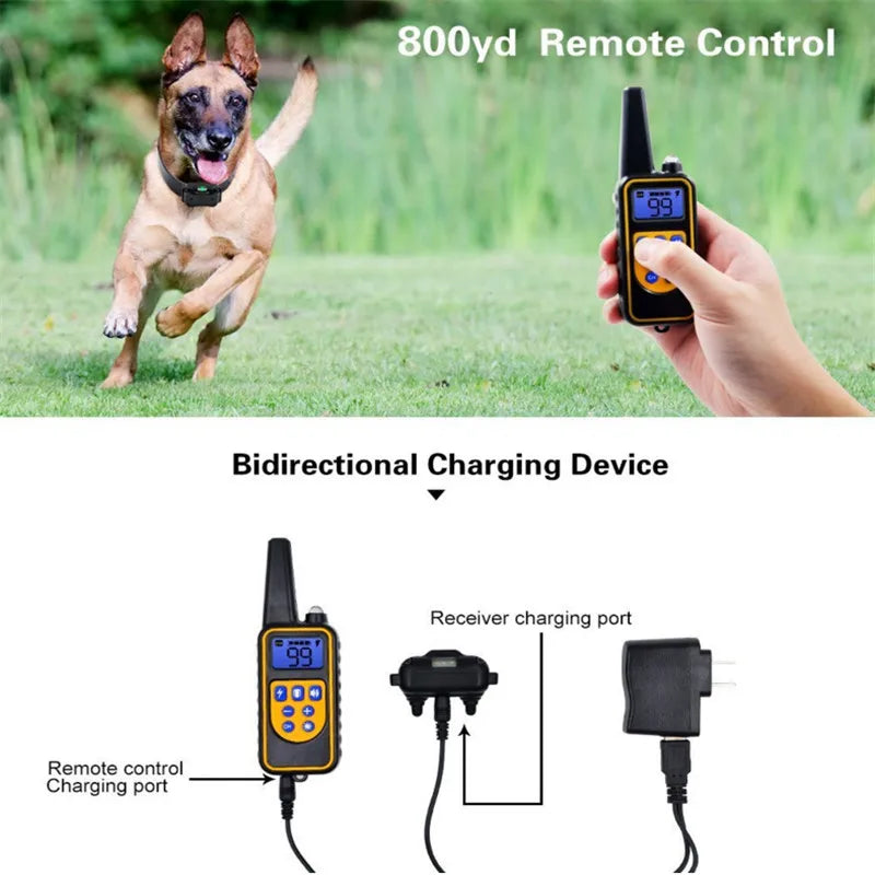 800m Digital Dog Training Collar &ndash; Waterproof LCD Display