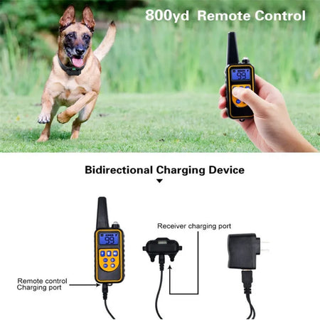 800m Digital Dog Training Collar &ndash; Waterproof LCD Display