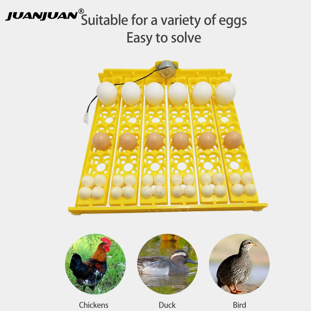 24 Eggs Tray Incubator Turner &ndash; Automatic Egg Turning