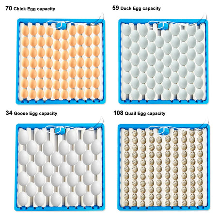 Automatic 360 Rotary Egg Turner Tray 70-108 Eggs &ndash; Auto Turn