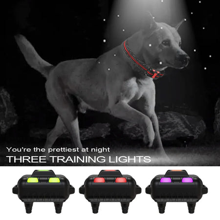 T502 Dog Training Collar &ndash; Rechargeable 4 Modes Waterproof