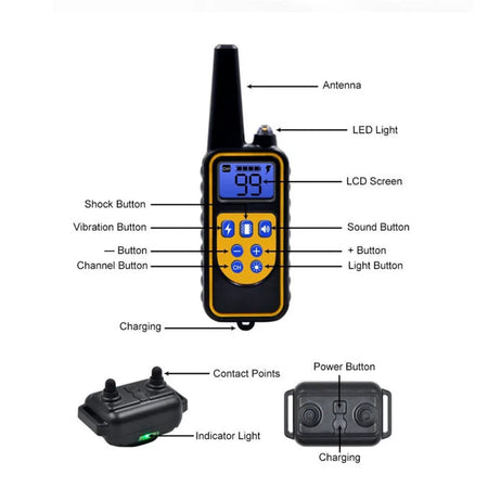 800m Digital Dog Training Collar &ndash; Waterproof LCD Display