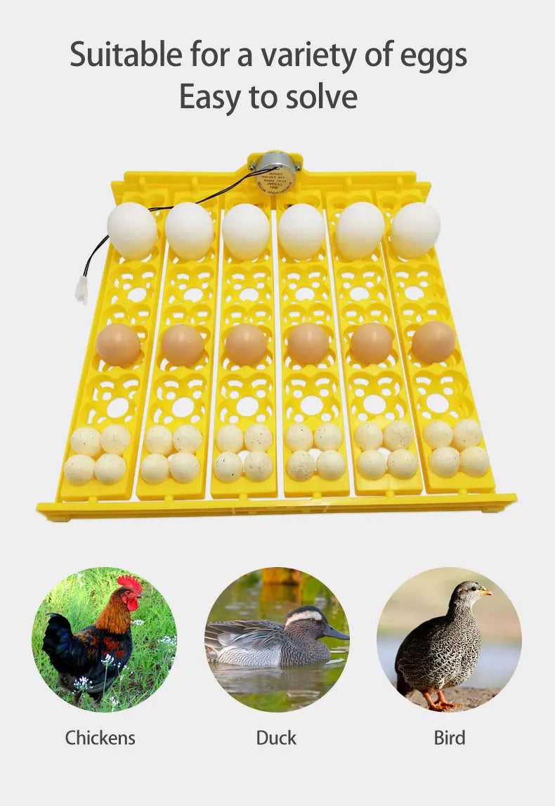 36 Quail Eggs Tray Incubator Turner &ndash; Automatic Egg Turner