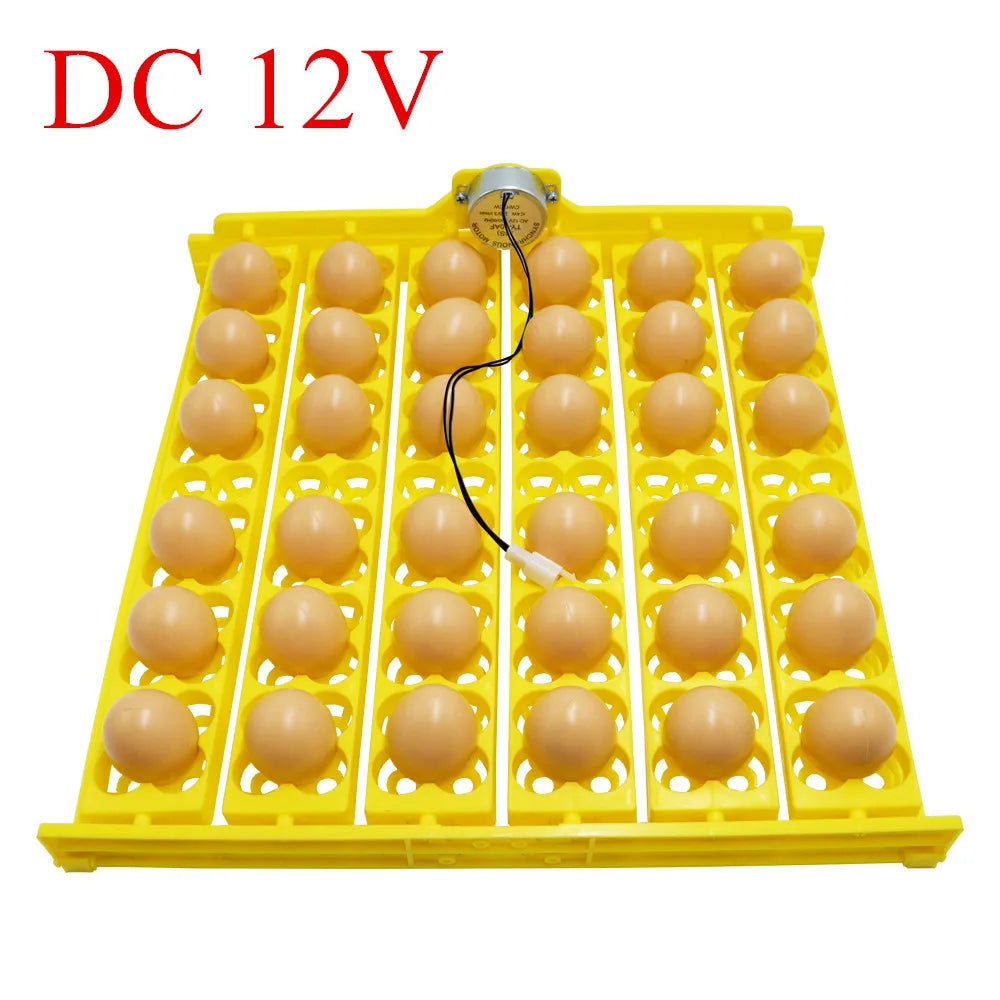 36 Quail Eggs Tray Incubator Turner &ndash; Automatic Egg Turner DC12V