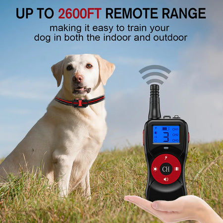 T502 Dog Training Collar &ndash; Rechargeable 4 Modes Waterproof