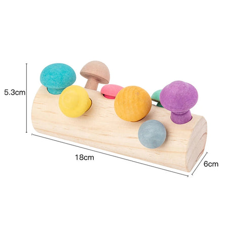BZS00091 Wooden Rainbow Blocks &ndash; Fine Motor Skill Boost BZS00091