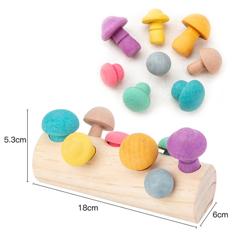 BZS00091 Wooden Rainbow Blocks &ndash; Fine Motor Skill Boost