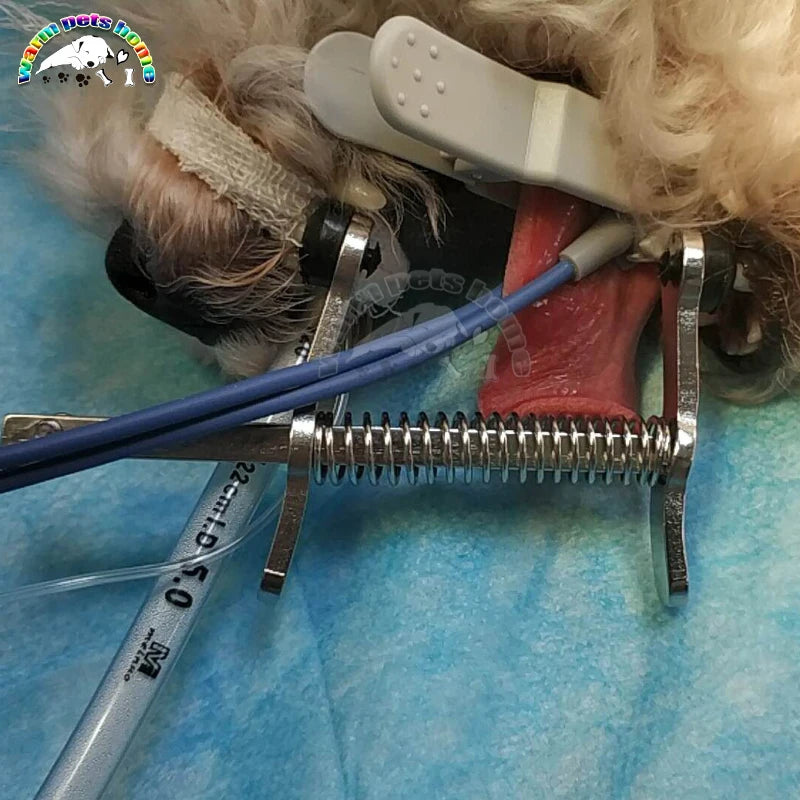 Canine Mouth Gag Surgical Mouth Opener &ndash; Lightweight Design