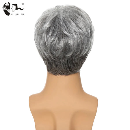 XISHIXIU Men's Silver Gray Wavy Synthetic Wig - Short Straight Pixie Cut