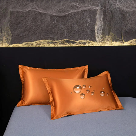 Waterproof Silk Silky Stain Pillowcase &ndash; Luxurious Mulberry Silk Protection Coffee / 2PC 48x74CM