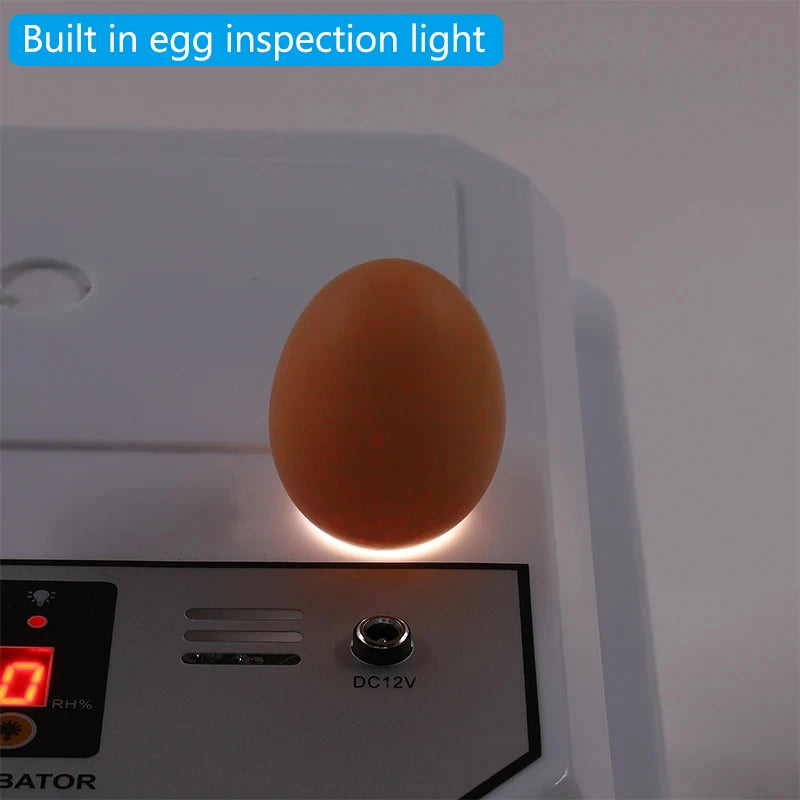 16 Eggs Dual-Electric Automatic Egg Incubator &ndash; Auto Turn